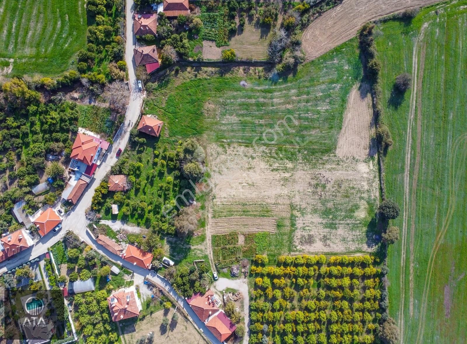 Ata'dan Ula Çıtlık'ta Köy İçi İmarlı 7.593 M² Çiftlik Arazisi - Görsel 14