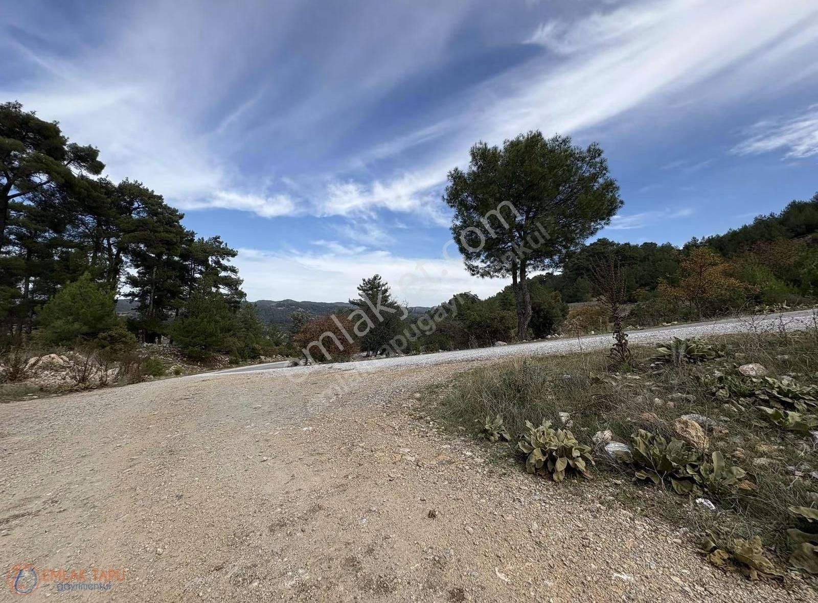 Muğla Menteşe Denizova Mah. Satılık 2.961 M2 Tarla - Görsel 4