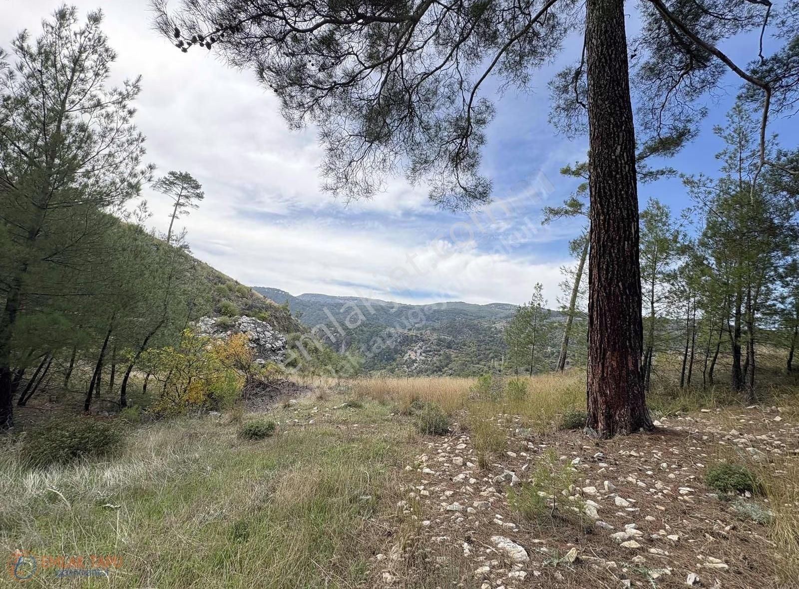 Muğla Menteşe Denizova Mah. Satılık 2.961 M2 Tarla