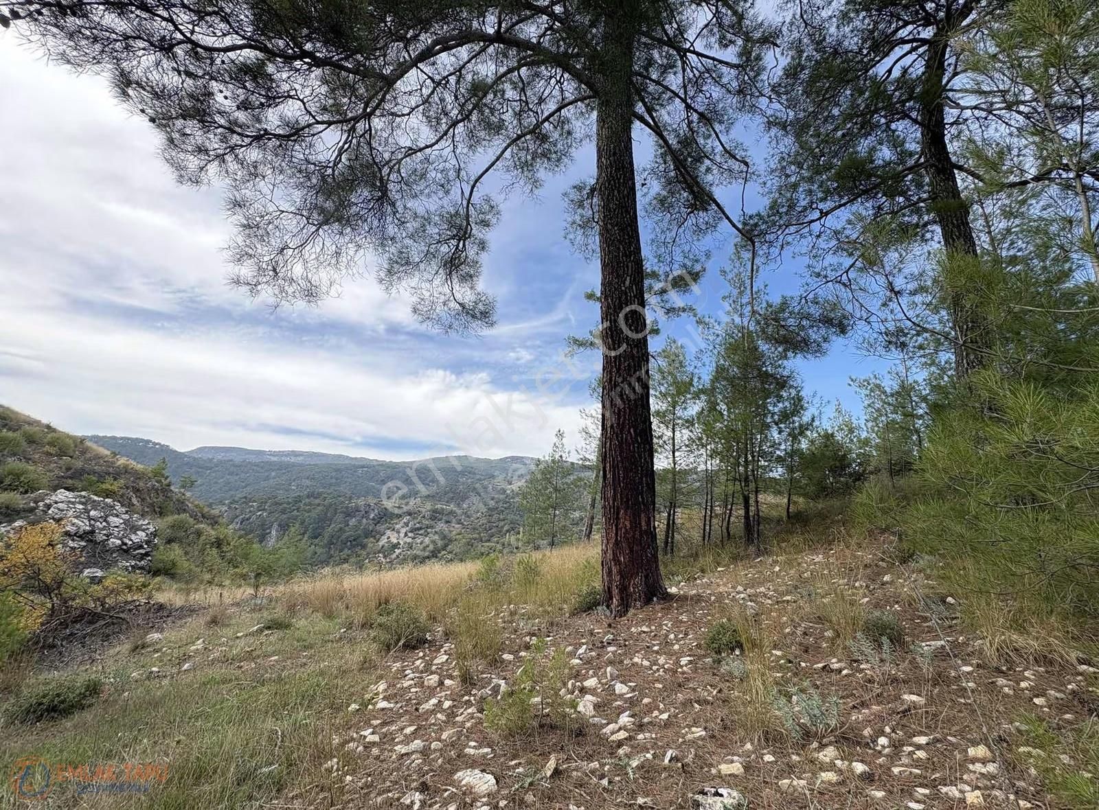 Muğla Menteşe Denizova Mah. Satılık 2.961 M2 Tarla - Görsel 18