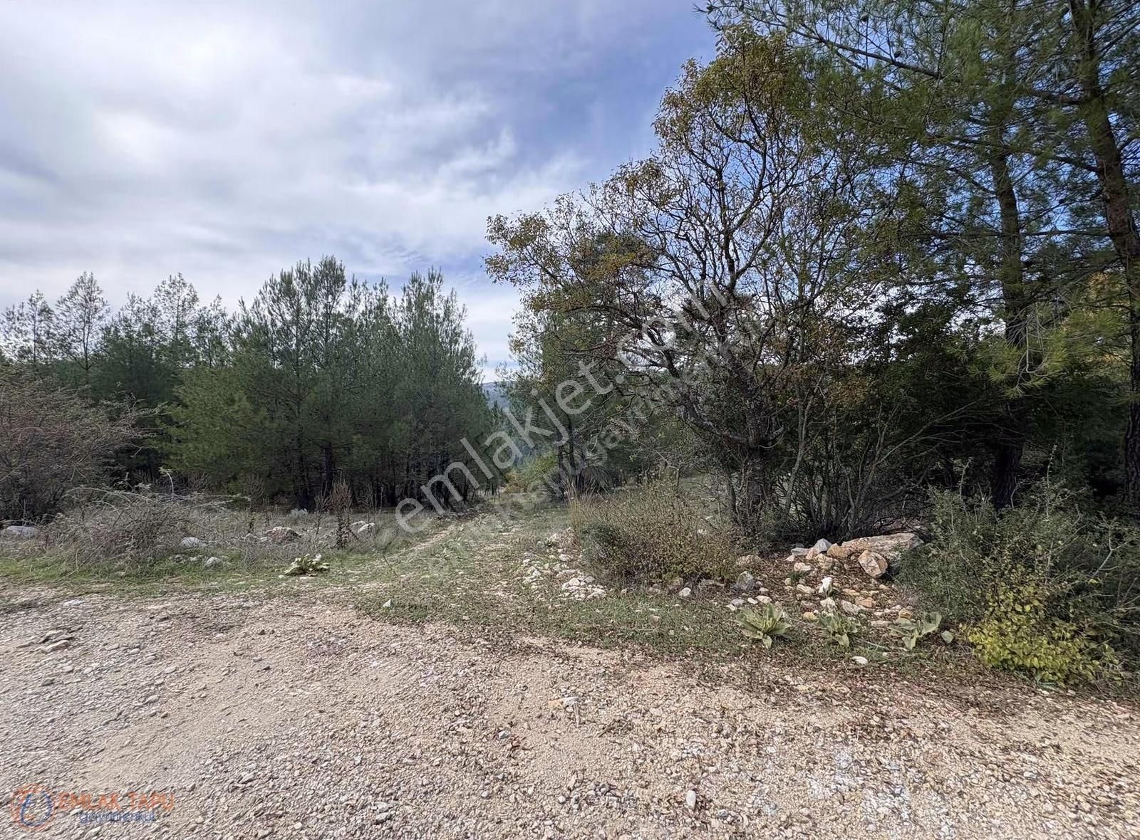 Muğla Menteşe Denizova Mah. Satılık 2.961 M2 Tarla - Görsel 6