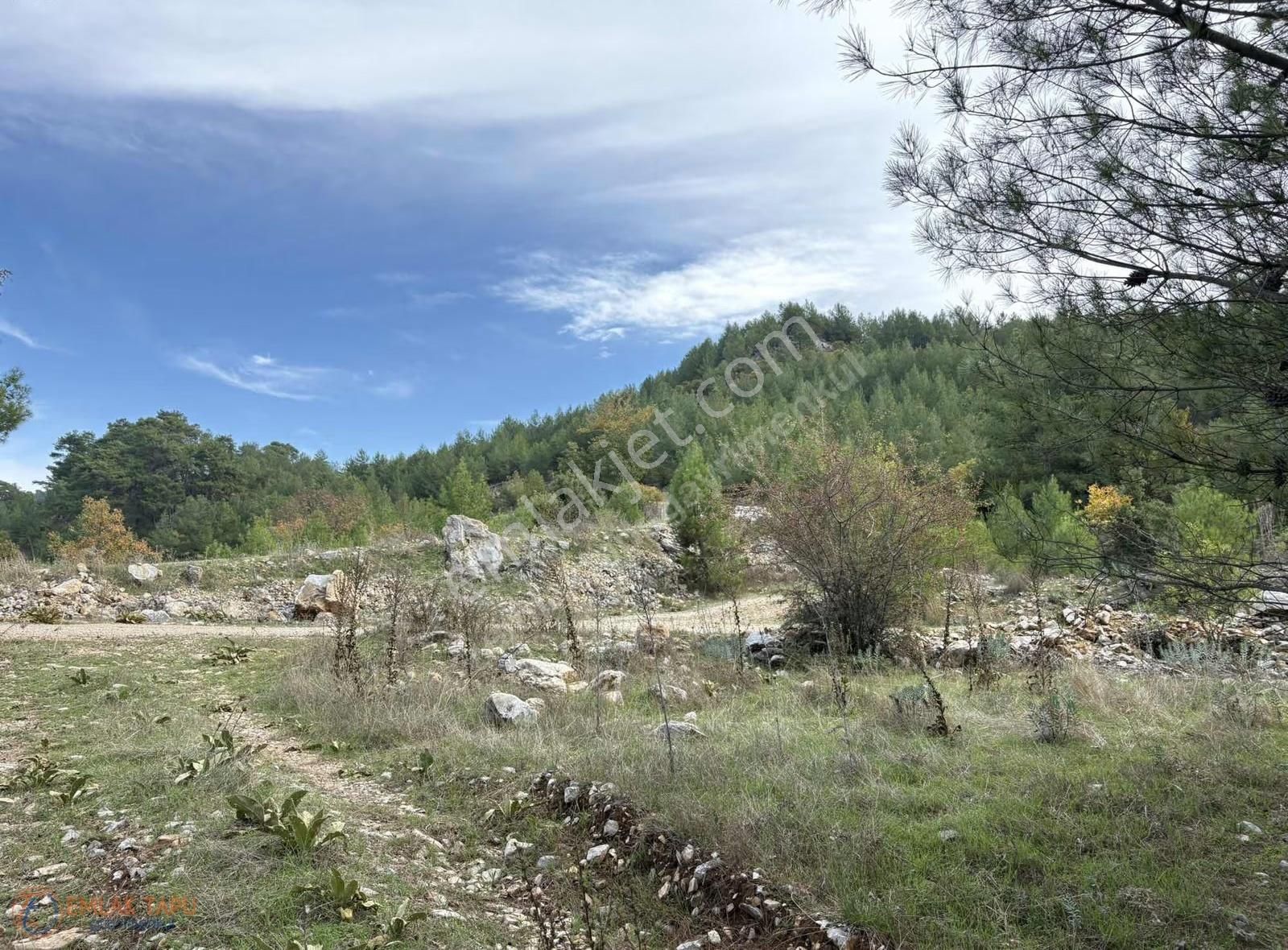 Muğla Menteşe Denizova Mah. Satılık 2.961 M2 Tarla - Görsel 10