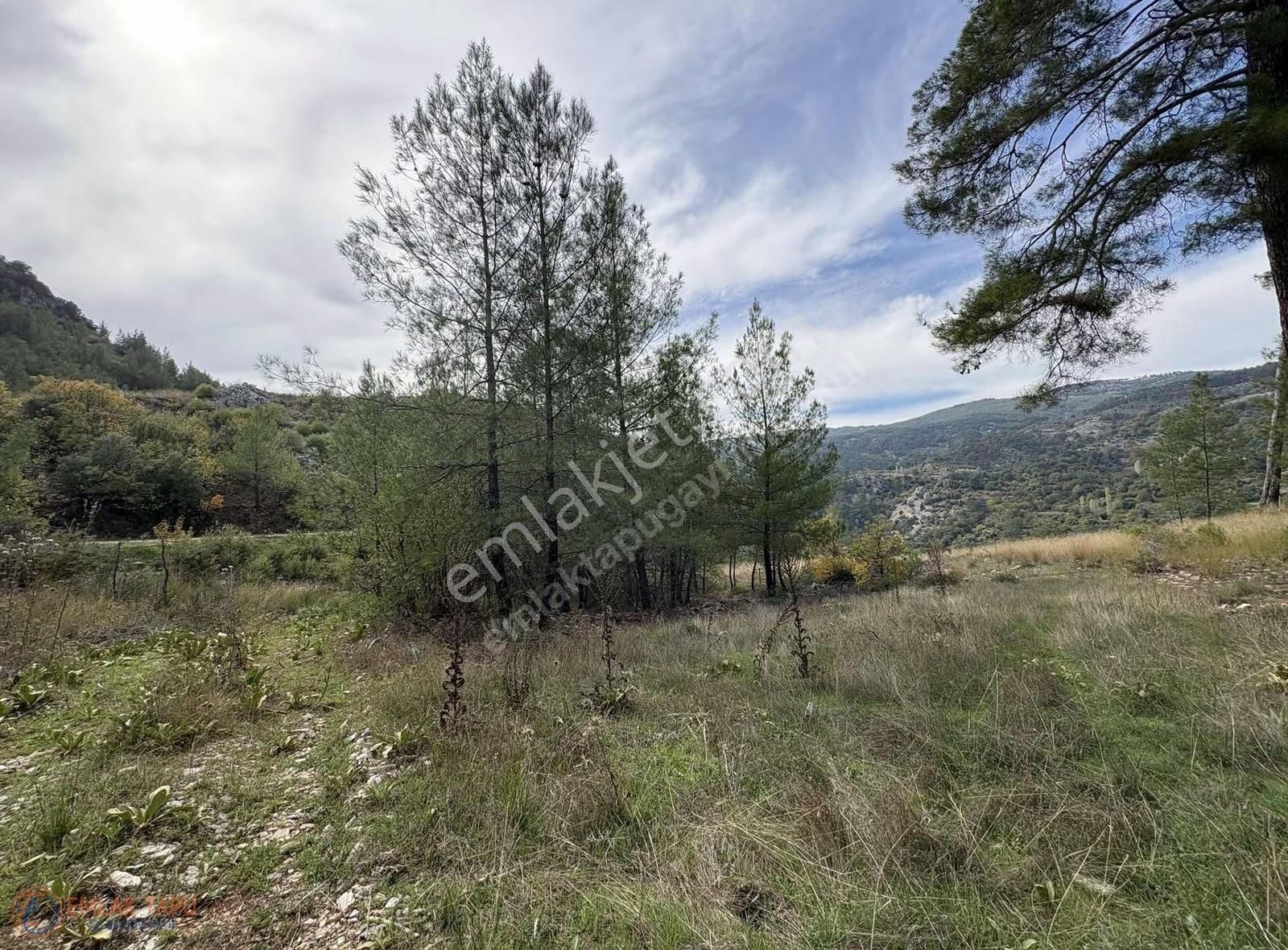 Muğla Menteşe Denizova Mah. Satılık 2.961 M2 Tarla - Görsel 2