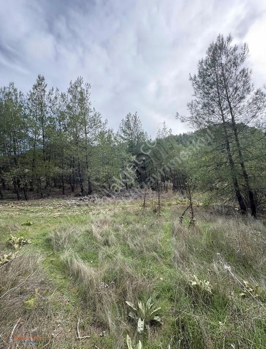 Muğla Menteşe Denizova Mah. Satılık 2.961 M2 Tarla - Görsel 5