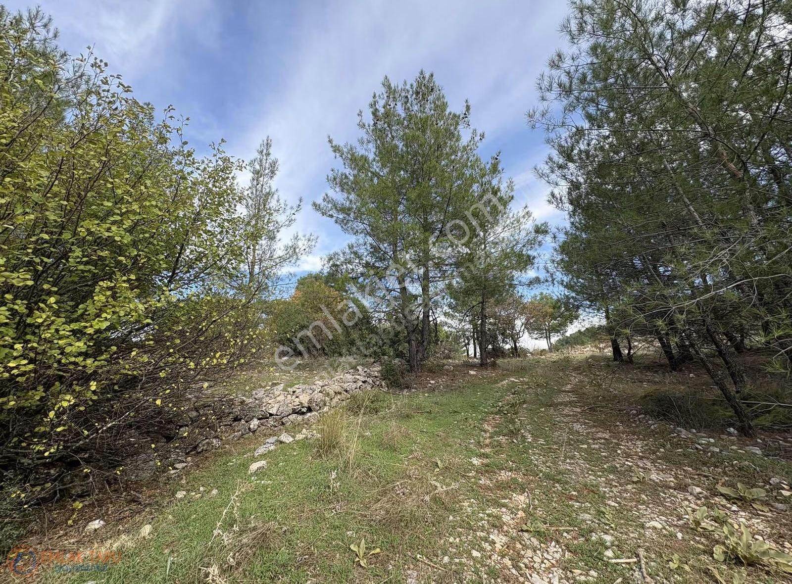 Muğla Menteşe Denizova Mah. Satılık 2.961 M2 Tarla - Görsel 17