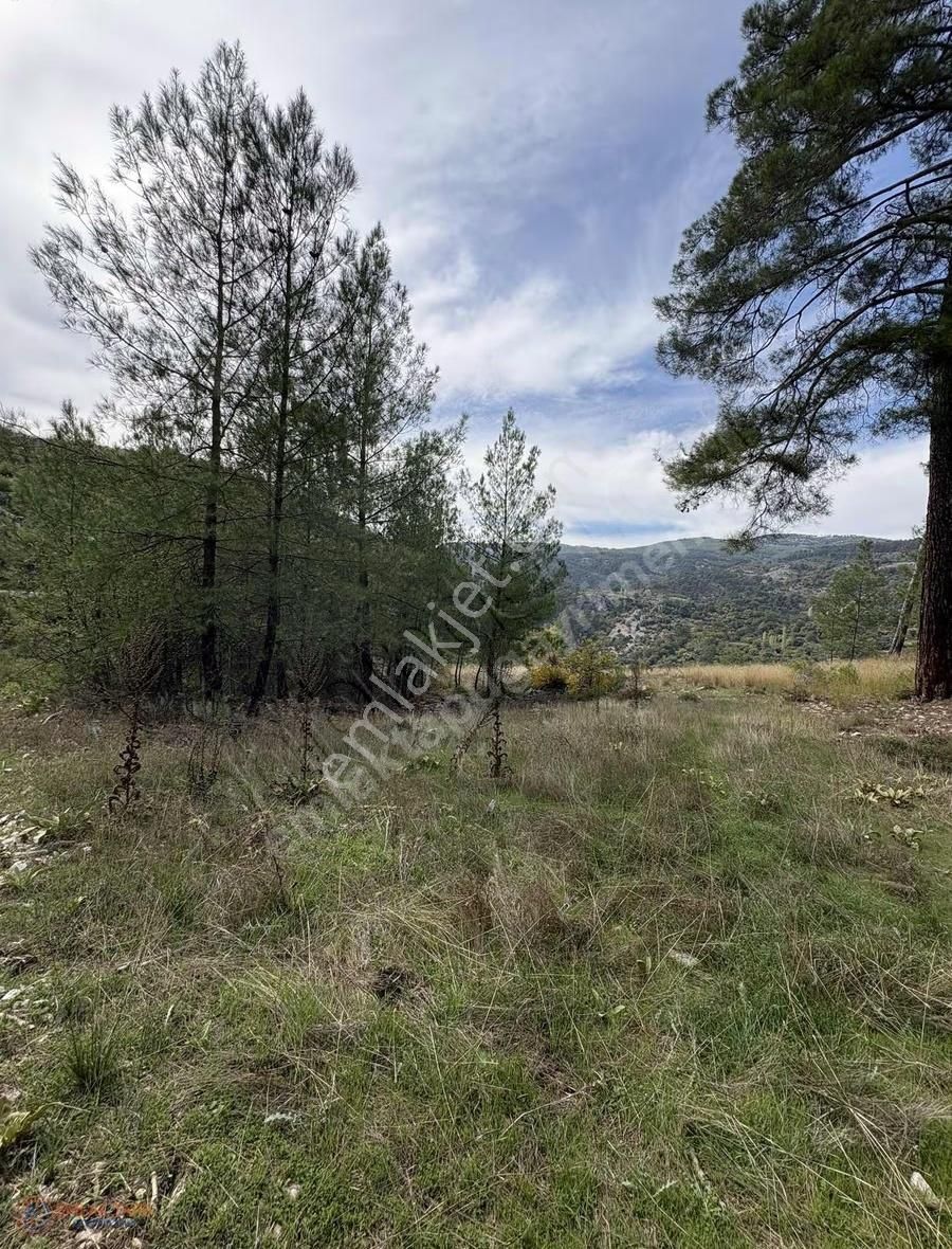 Muğla Menteşe Denizova Mah. Satılık 2.961 M2 Tarla - Görsel 16