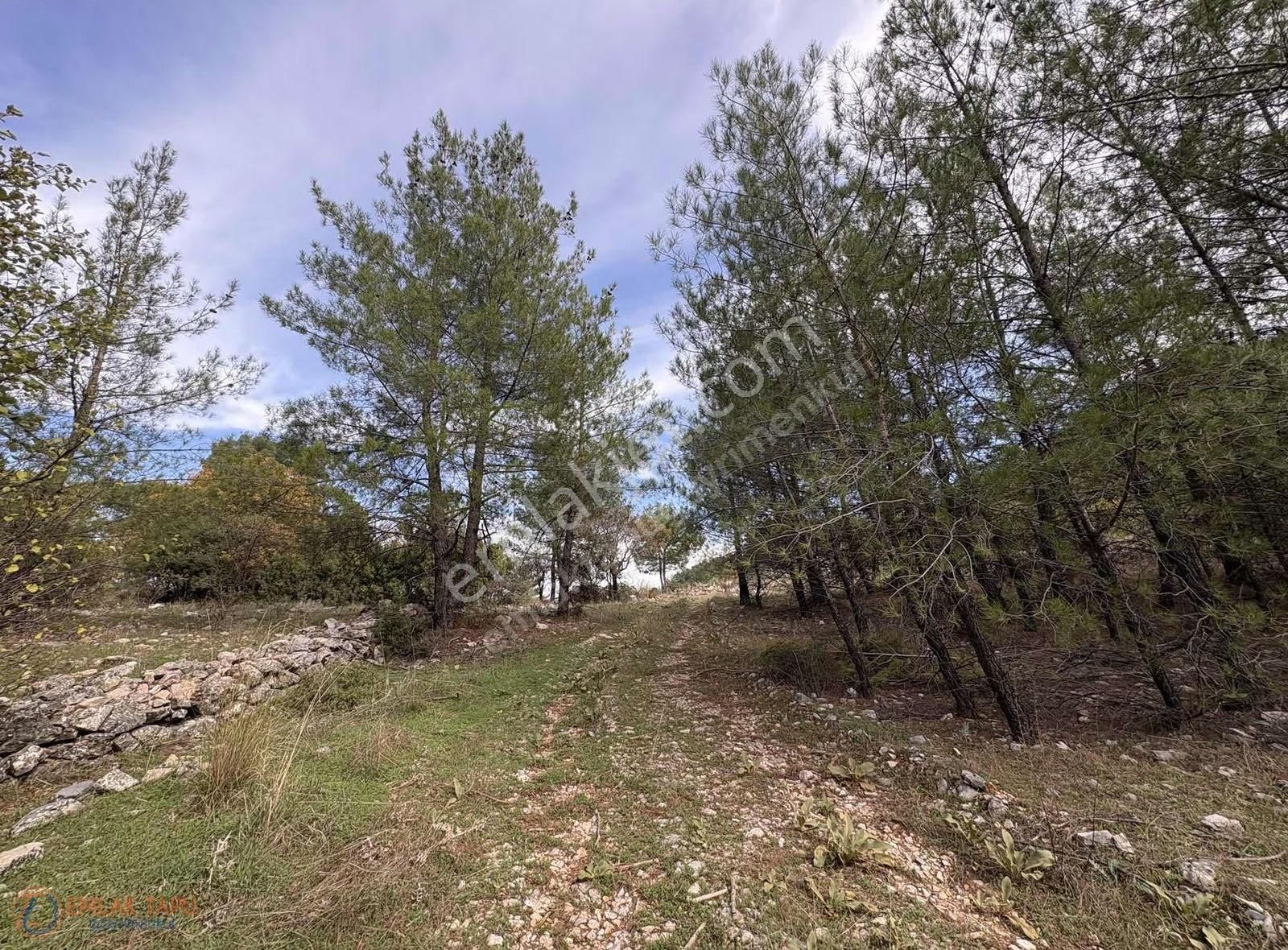 Muğla Menteşe Denizova Mah. Satılık 2.961 M2 Tarla - Görsel 3