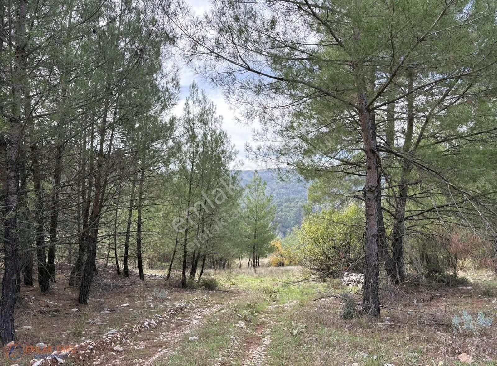 Muğla Menteşe Denizova Mah. Satılık 2.961 M2 Tarla - Görsel 12