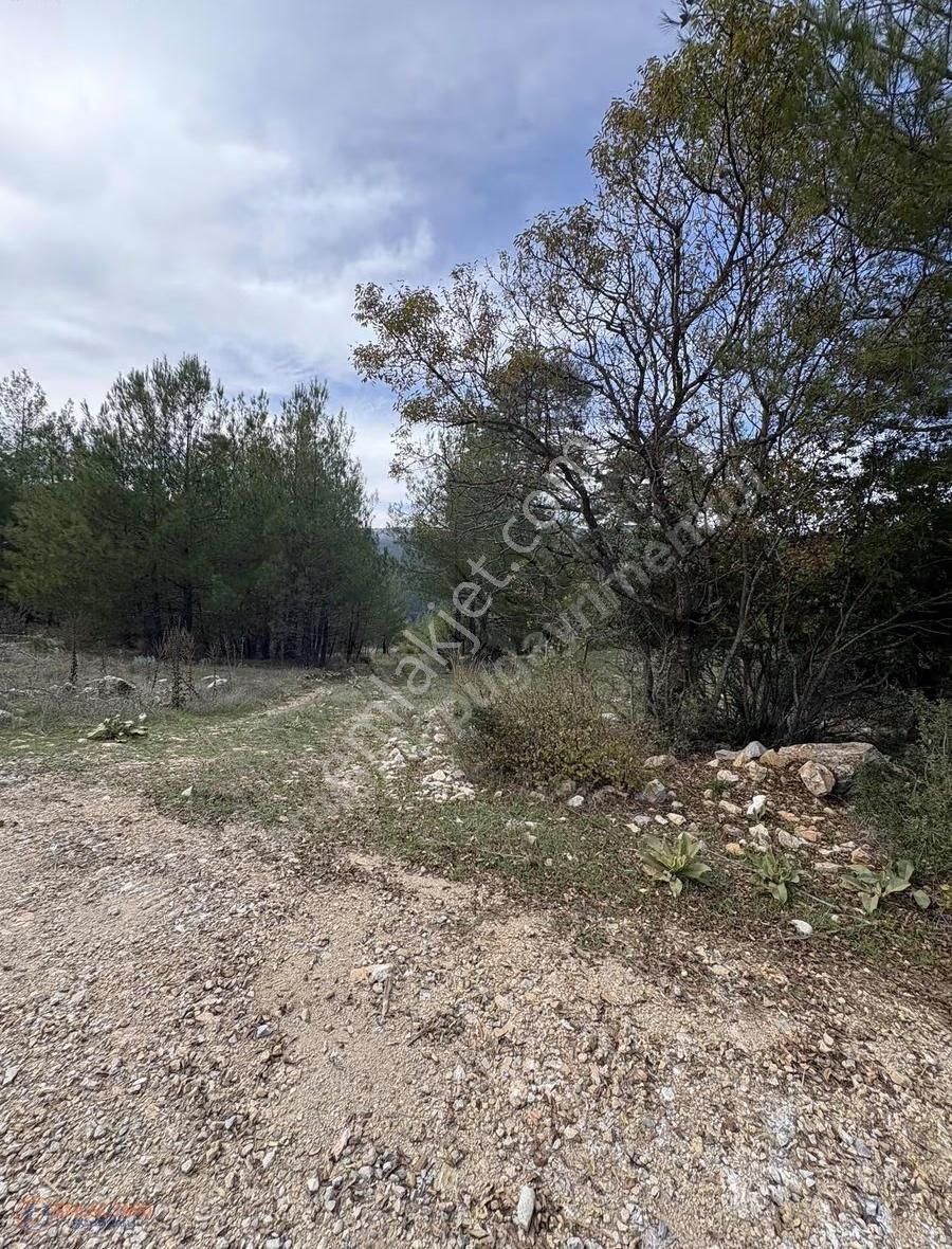 Muğla Menteşe Denizova Mah. Satılık 2.961 M2 Tarla - Görsel 15