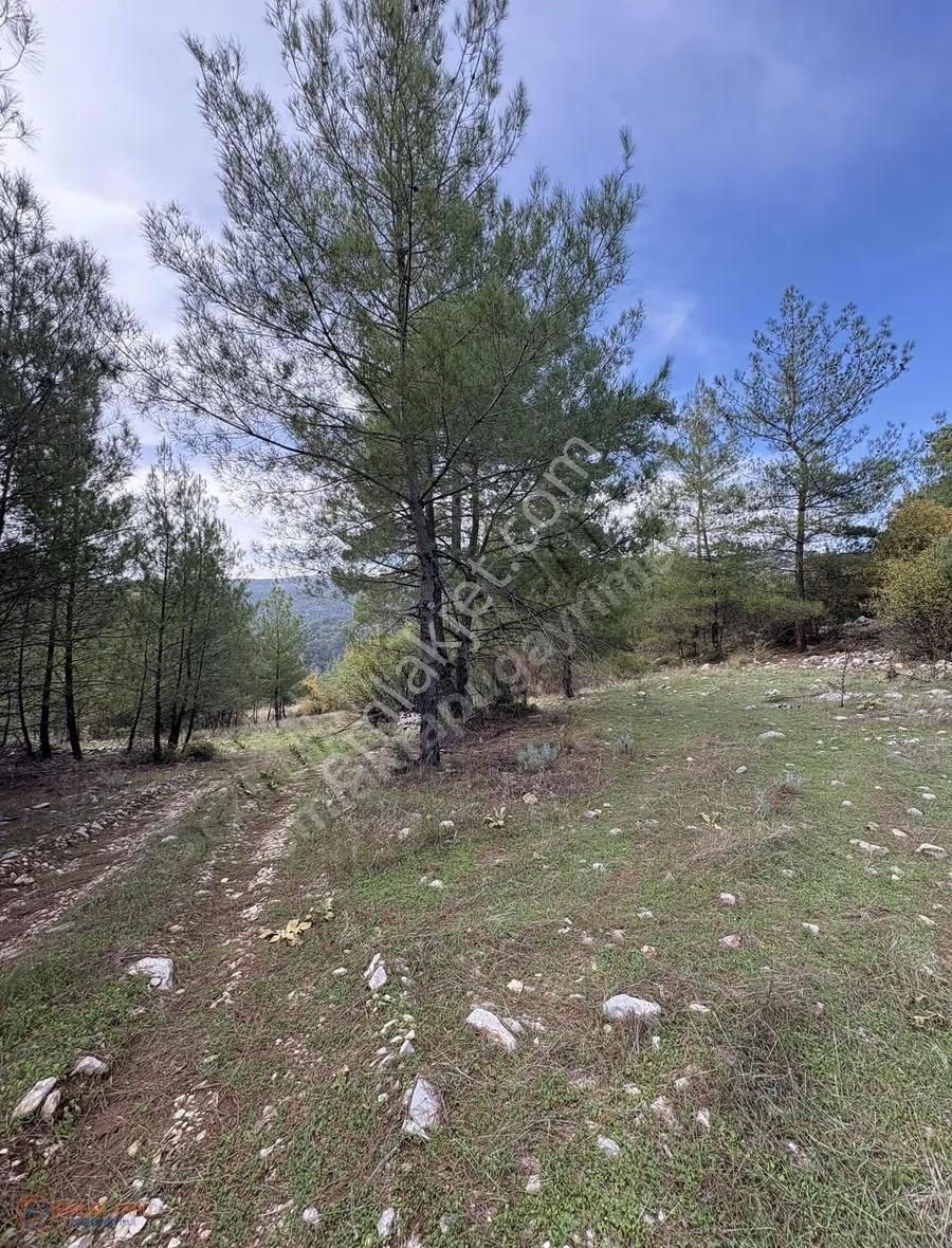 Muğla Menteşe Denizova Mah. Satılık 2.961 M2 Tarla - Görsel 11