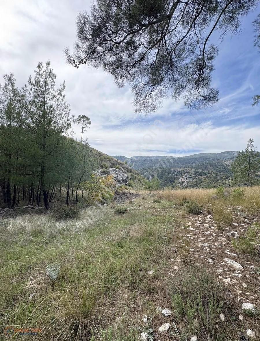 Muğla Menteşe Denizova Mah. Satılık 2.961 M2 Tarla - Görsel 14