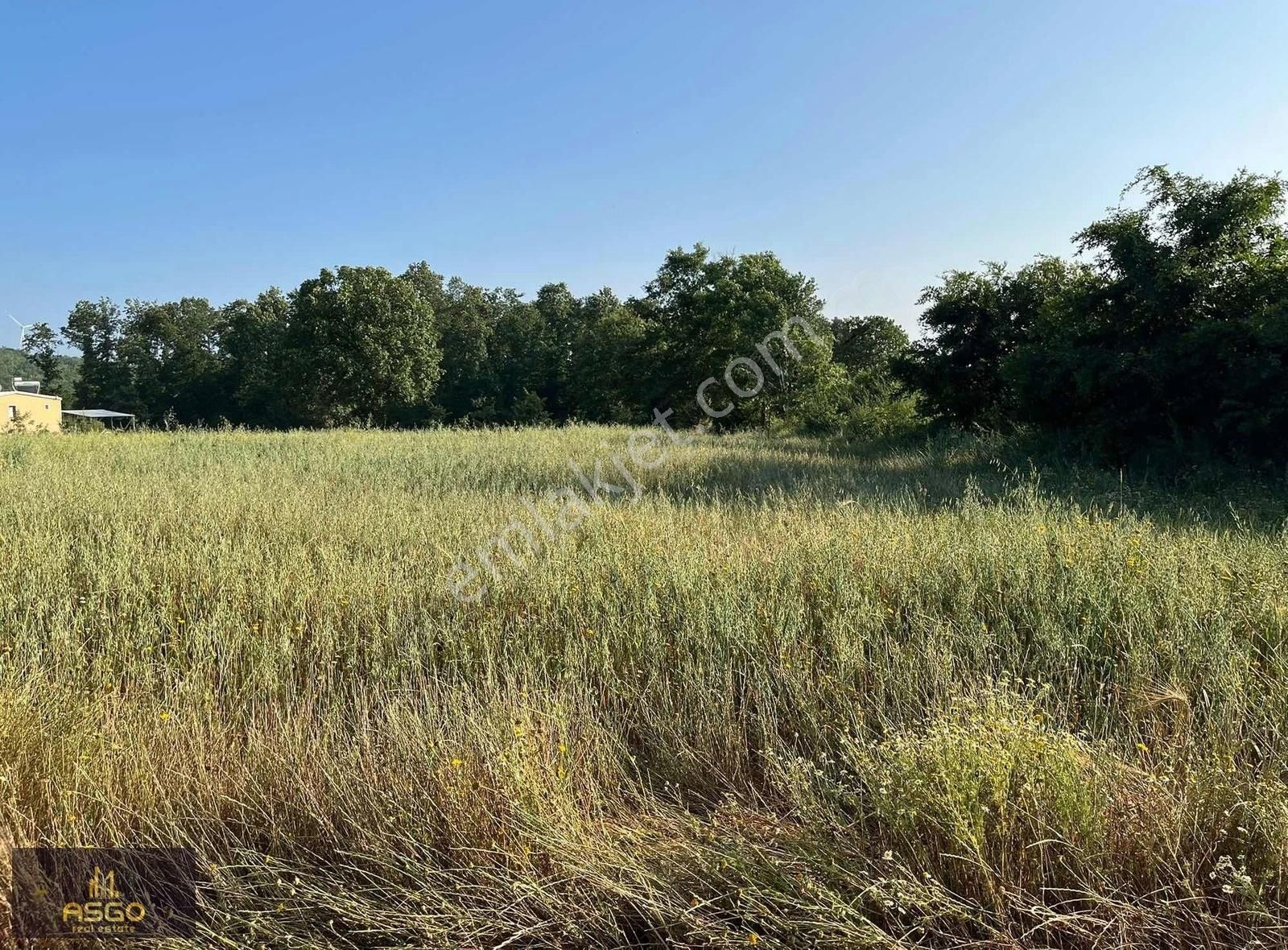 Asgo Dan Bursa Nilüfer Unçukuru Mh.satılık Tarla