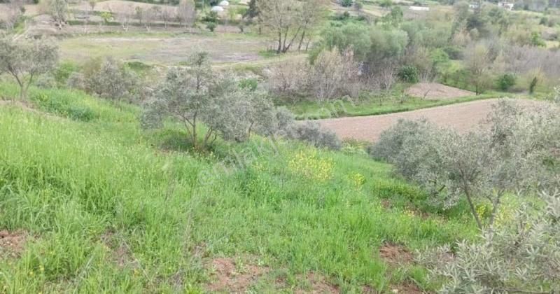 Muğla Menteşe Çamoluk'da Satılık Köyiçi İmarlı 2 Parsel - Görsel 2