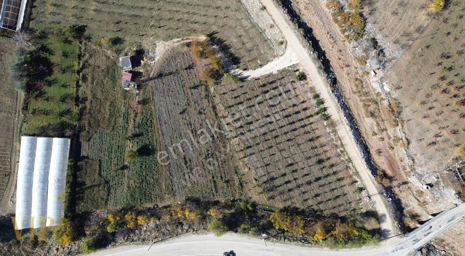 Vip Gayrimenkul'den Eskihisar Mah. Anayola Sıfır Meyve Bahçesi - Görsel 2