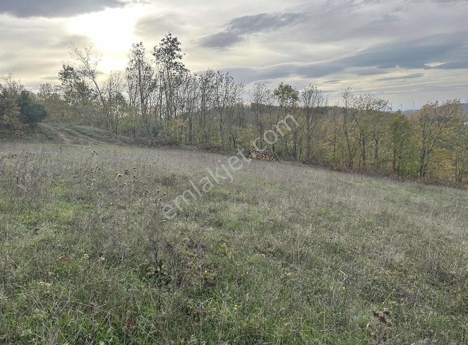 Özdemir Den Güngörende Eşsiz Göl Ve Şehir Manzarası - Görsel 13