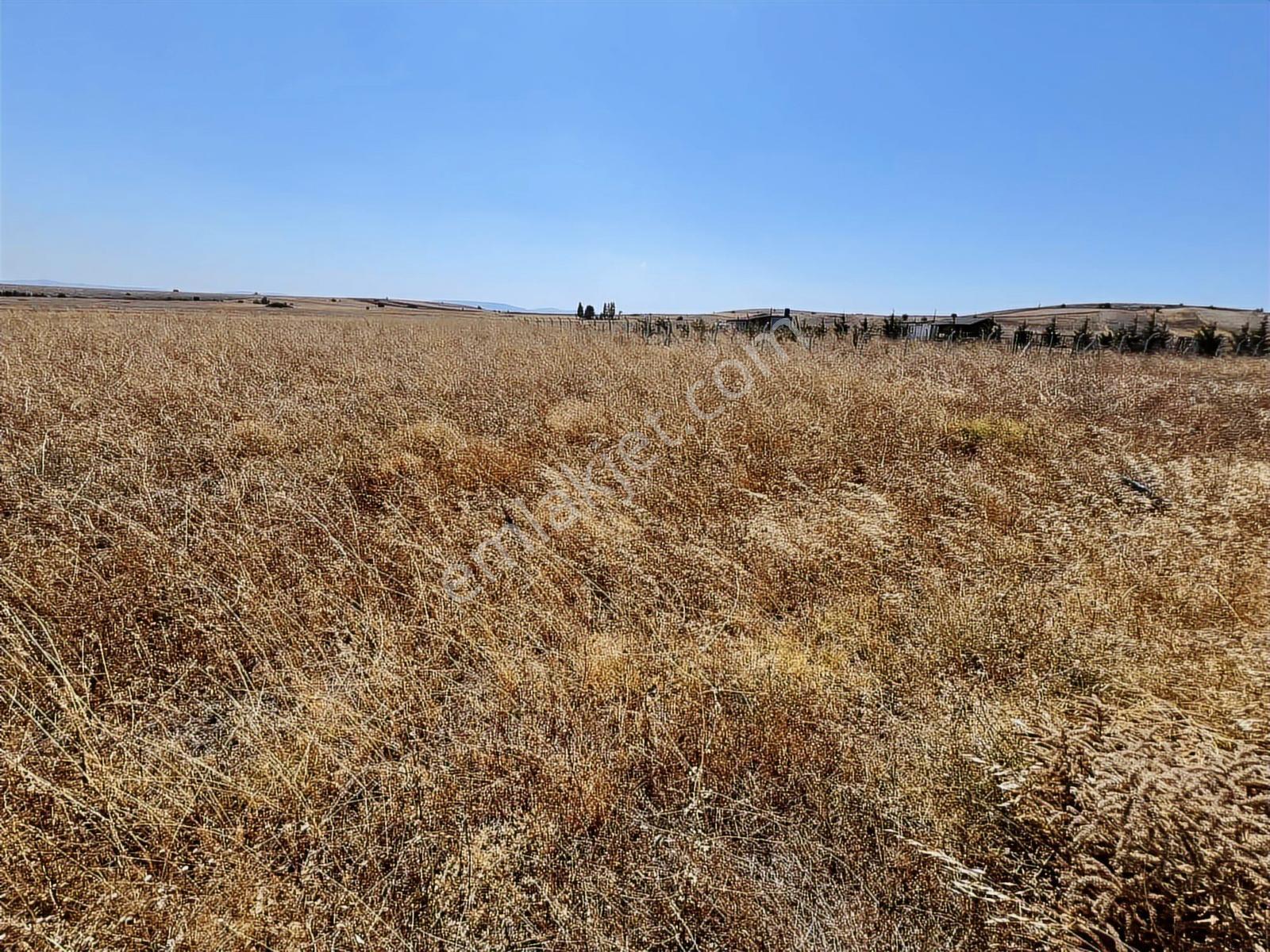 Başkan Emlaktan Satılık Bilecik Söğüt Yeşilyurt'ta 379 M2 Tarla - Görsel 15