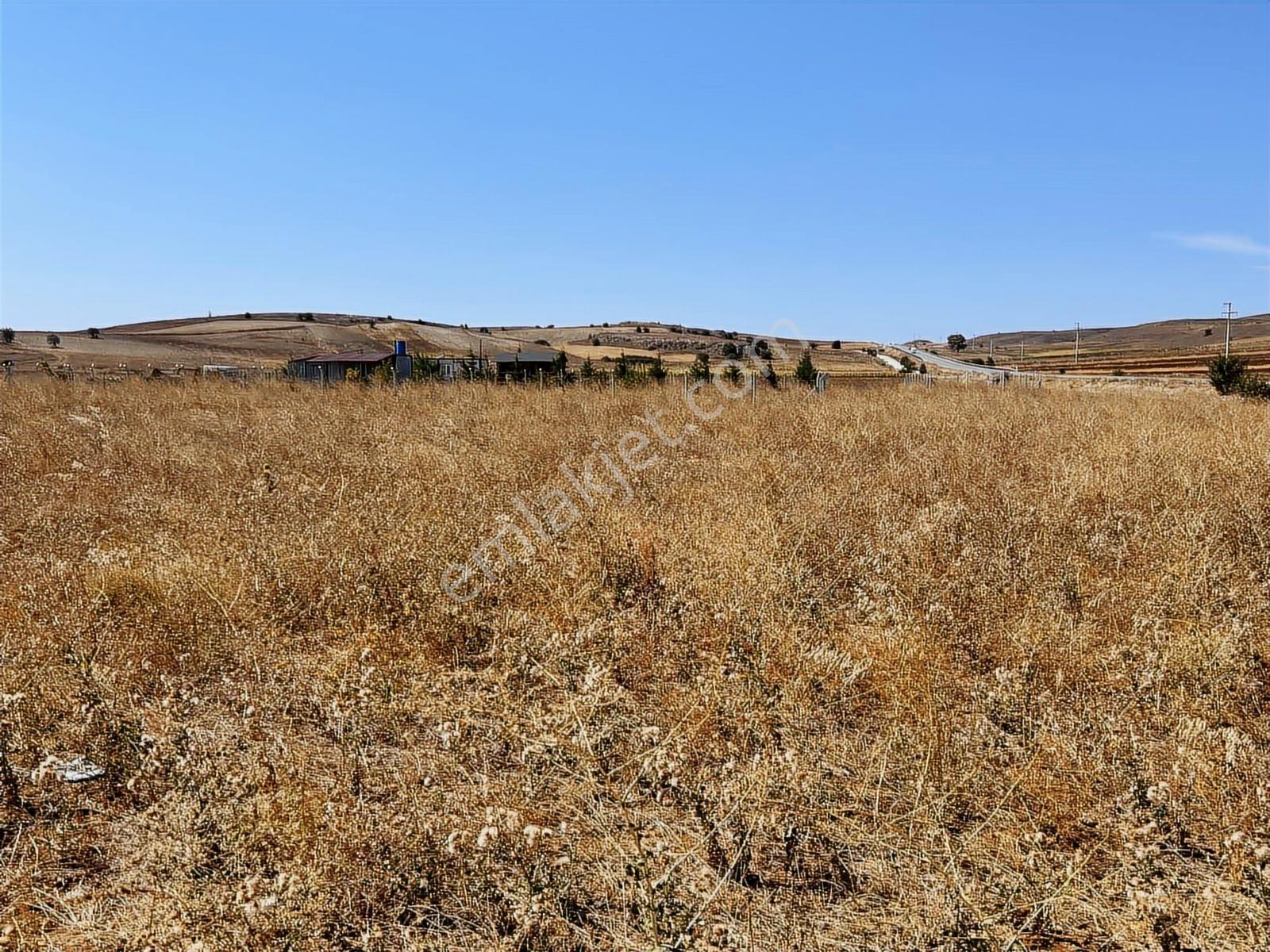 Başkan Emlaktan Satılık Bilecik Söğüt Yeşilyurt'ta 379 M2 Tarla - Görsel 13