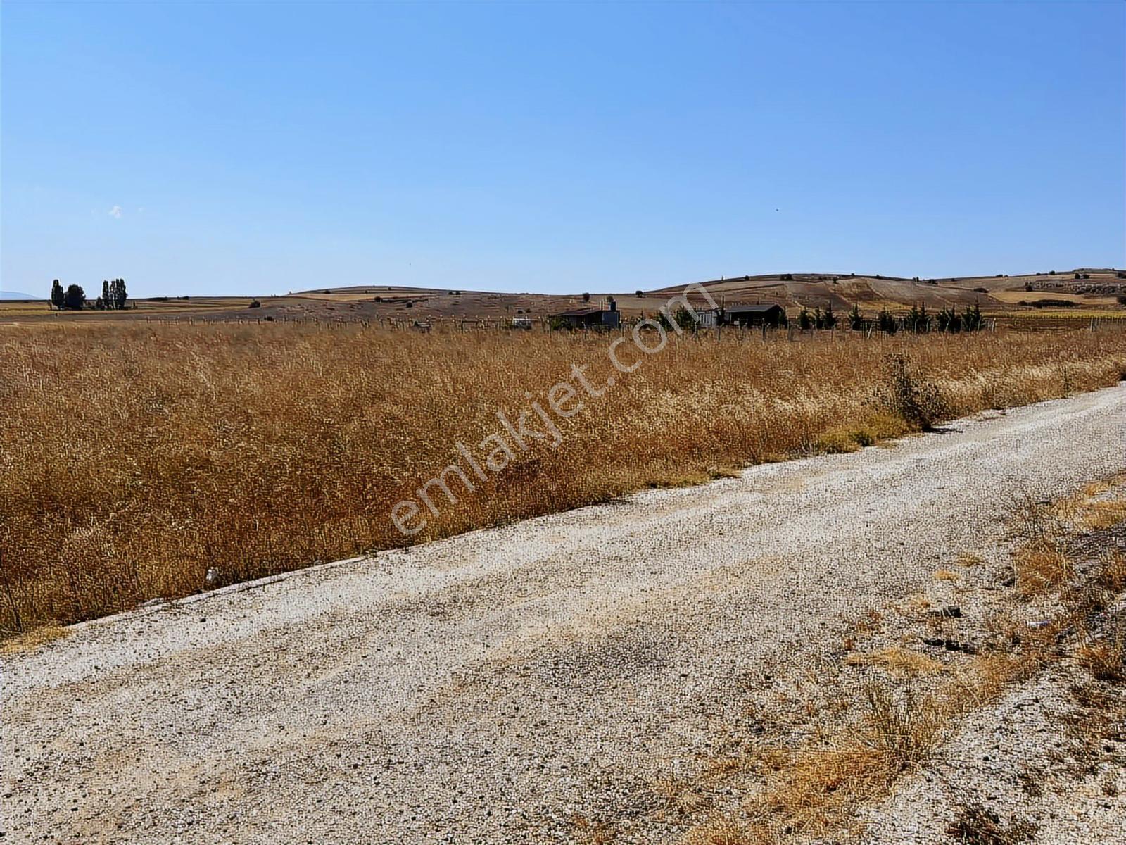 Başkan Emlaktan Satılık Bilecik Söğüt Yeşilyurt'ta 379 M2 Tarla - Görsel 21