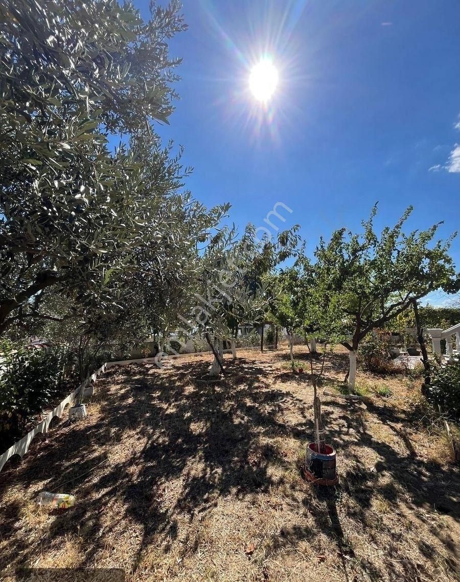 Nexus'tan Şarköy Kirazlı Köyü'nde Deniz Manzaralı 4+1 Satılık - Görsel 22