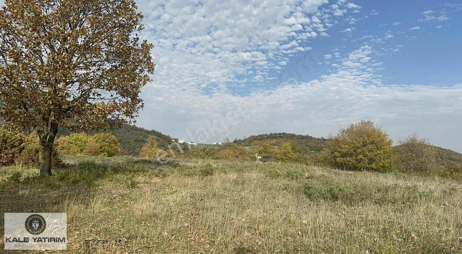 Yoooook Artık Bu Fırsat Kacmaz - Görsel 3