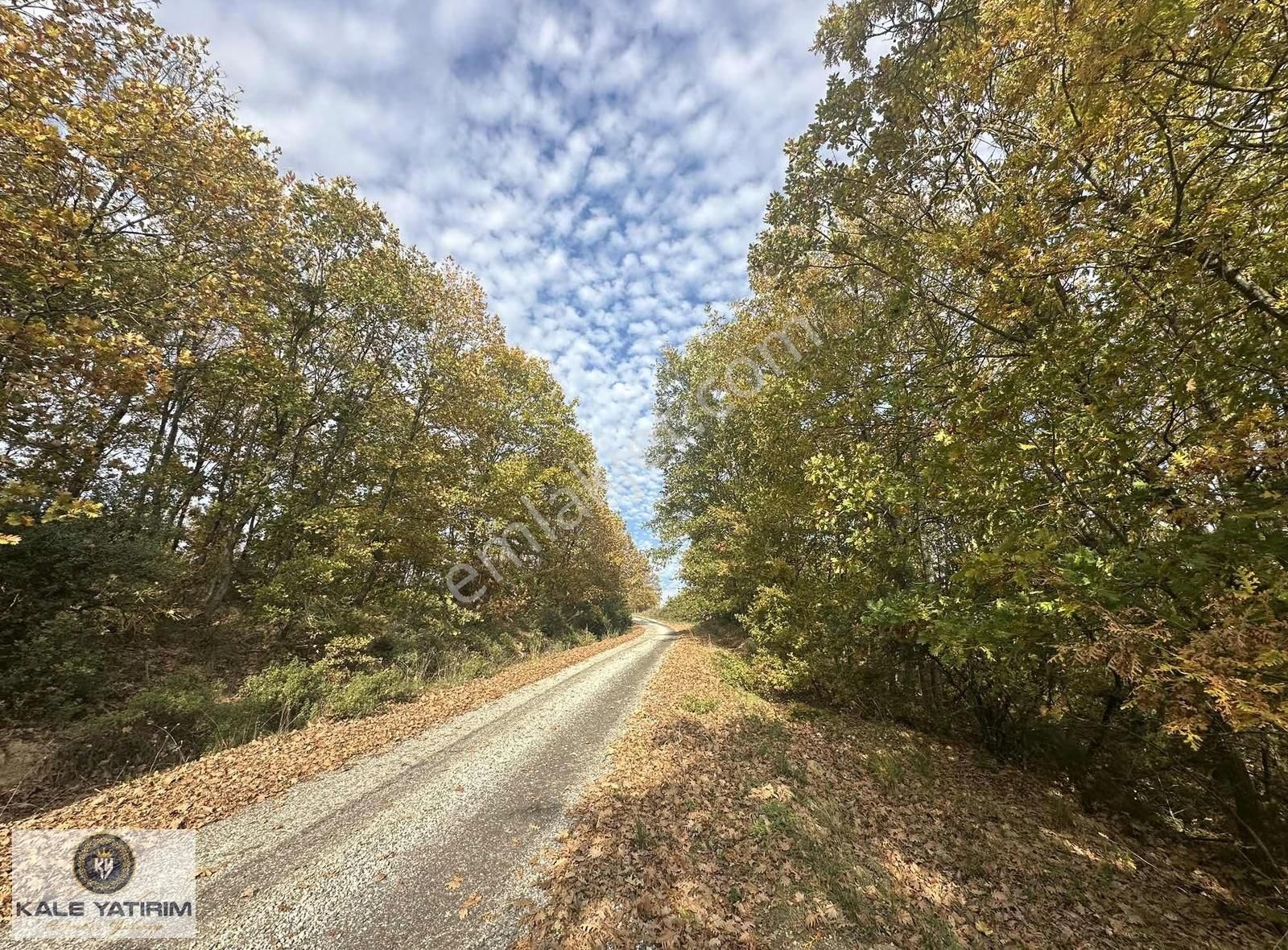 Yoooook Artık Bu Fırsat Kacmaz - Görsel 7