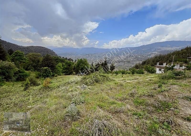 Mersin Toroslar Da 7388 M2 Harika Konumda Tarla Takas Olur - Görsel 2