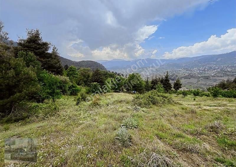 Mersin Toroslar Da 7388 M2 Harika Konumda Tarla Takas Olur - Görsel 11