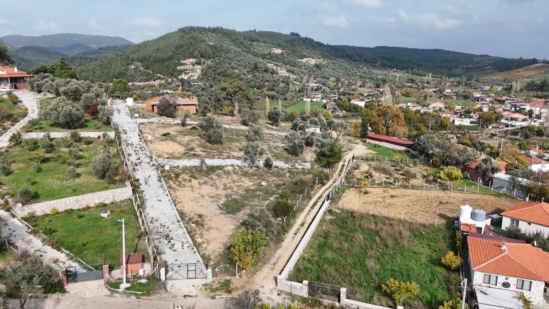 İzmir Menderes Çatalcada Köy İçi 301 M2 Hisse Tapulu Elektrik Su Tarımsal Sulama - Görsel 6