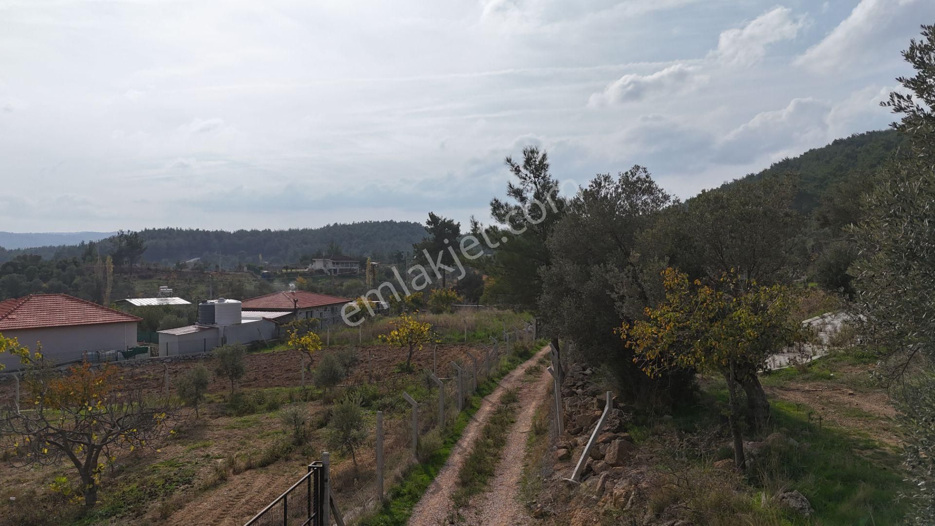 İzmir Menderes Çatalcada Köy İçi 301 M2 Hisse Tapulu Elektrik Su Tarımsal Sulama - Görsel 19