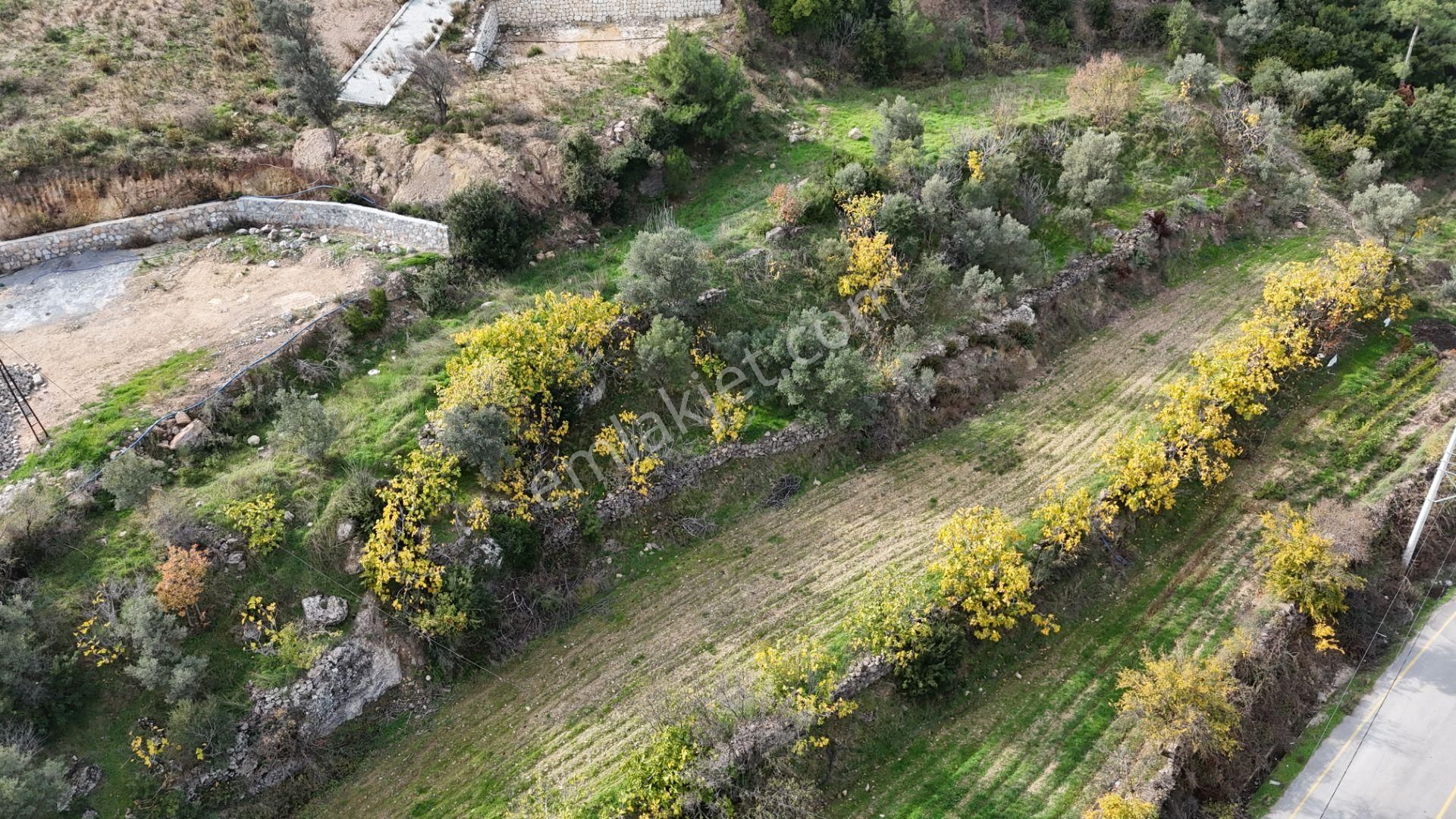 İzmir Menderes Çatalcada Köy İçi 301 M2 Hisse Tapulu Elektrik Su Tarımsal Sulama - Görsel 27