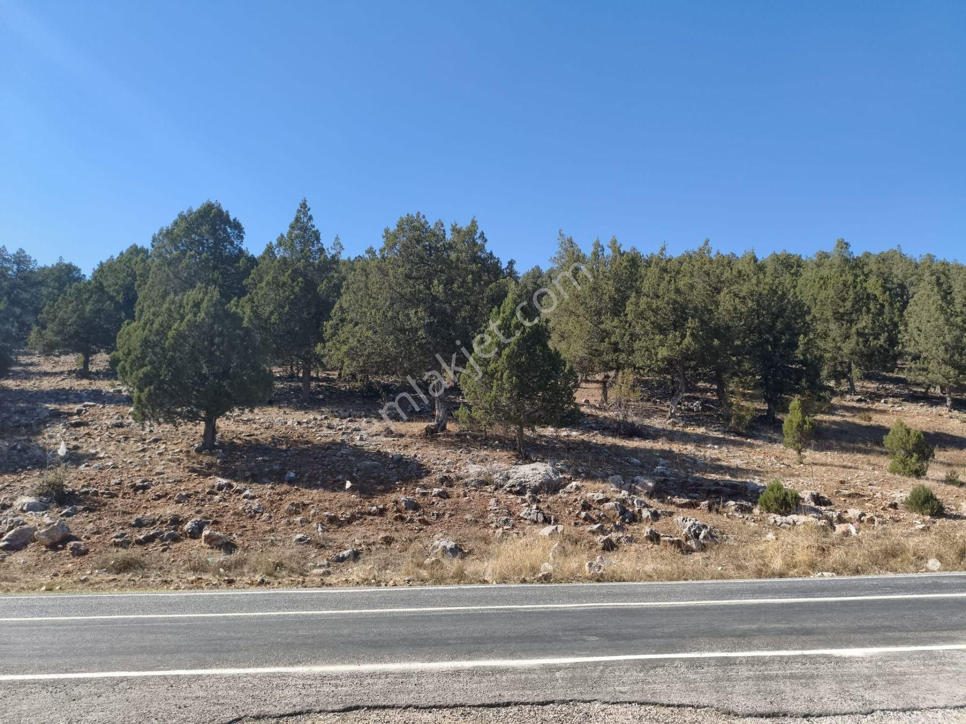 Kar Emlaktan Akçatekir Nohutlukta 675 Metrekare Satılık Arsa - Görsel 13