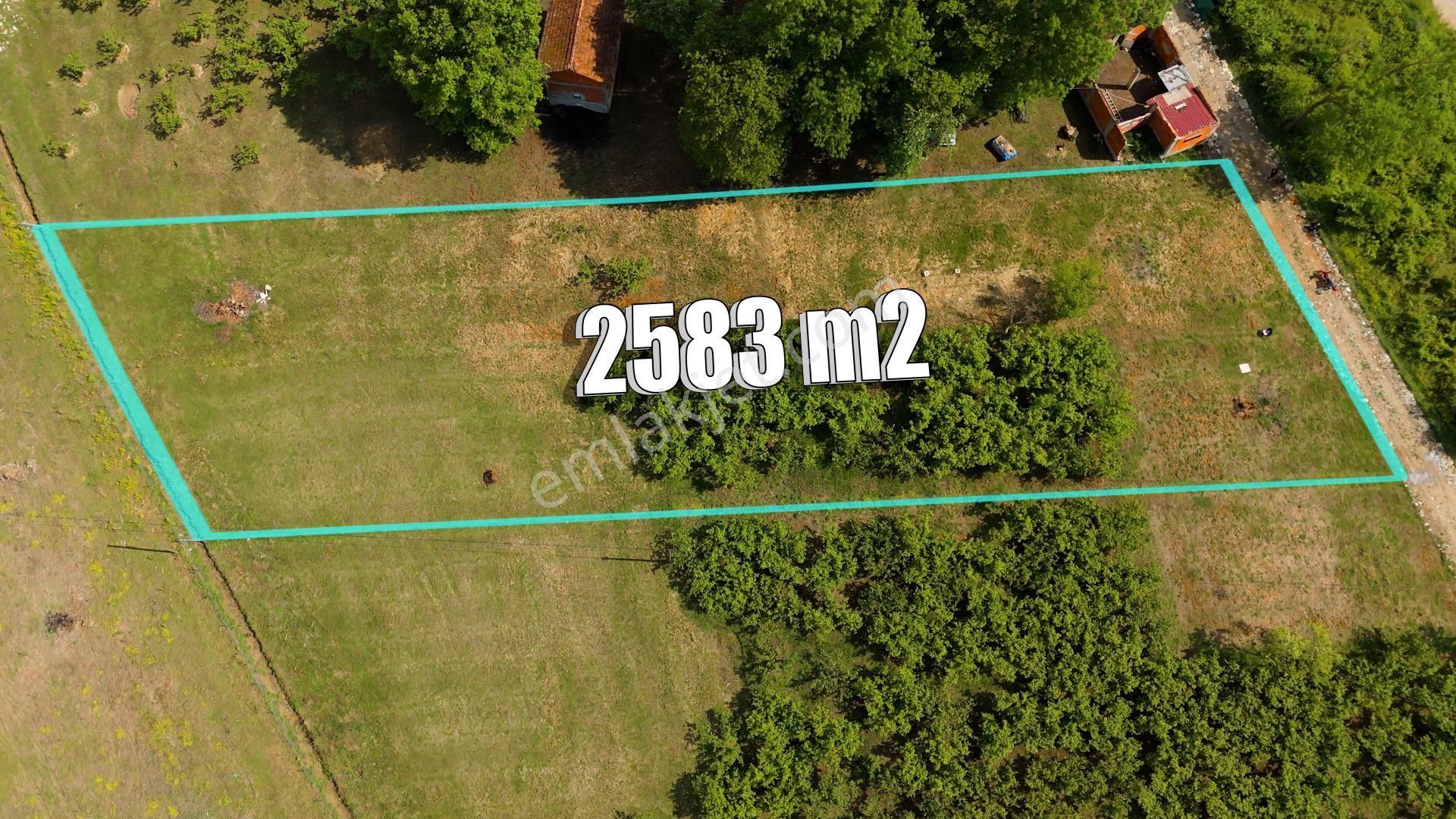 Kandıra, Karaağaç'ta 2583m2 Satılık Arazi - Görsel 4