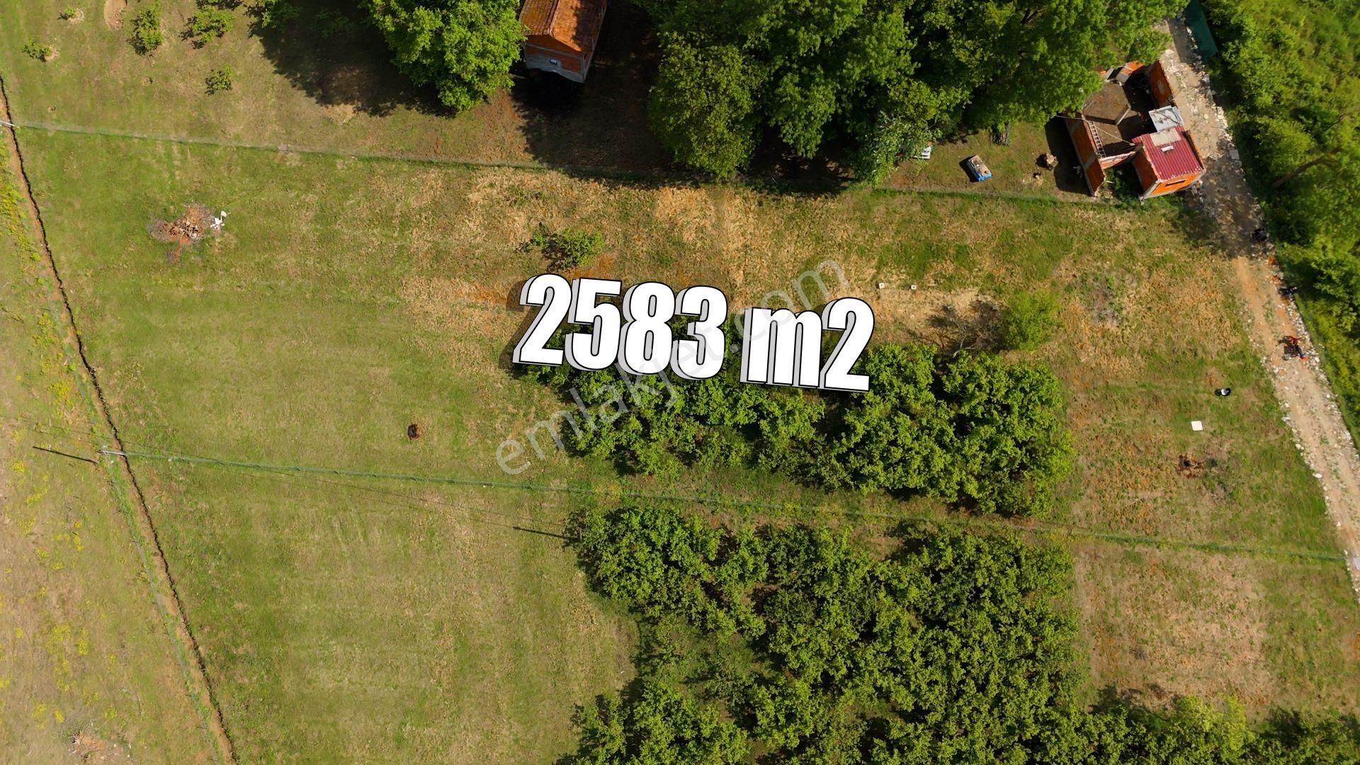 Kandıra, Karaağaç'ta 2583m2 Satılık Arazi - Görsel 15