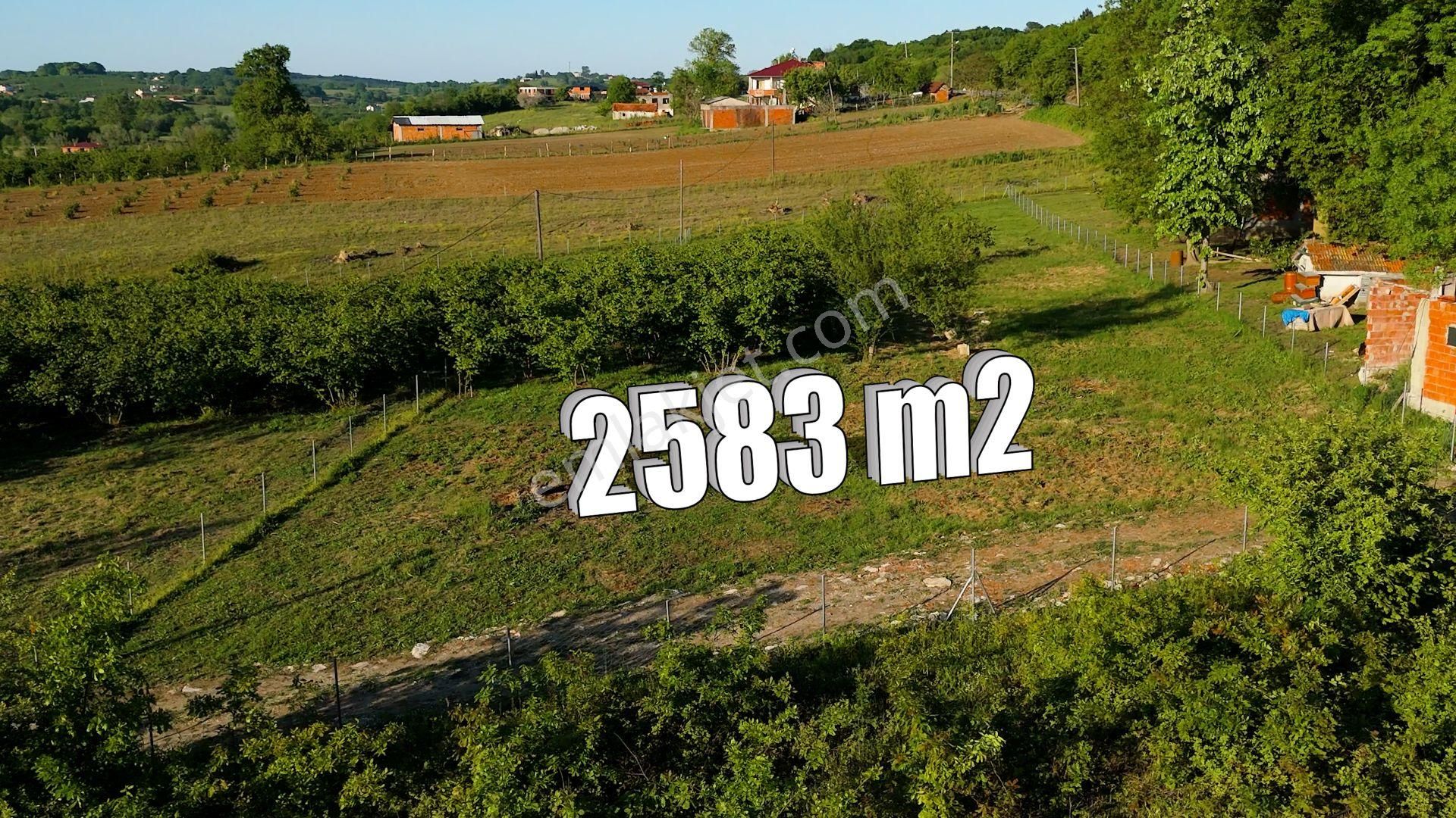 Kandıra, Karaağaç'ta 2583m2 Satılık Arazi - Görsel 14