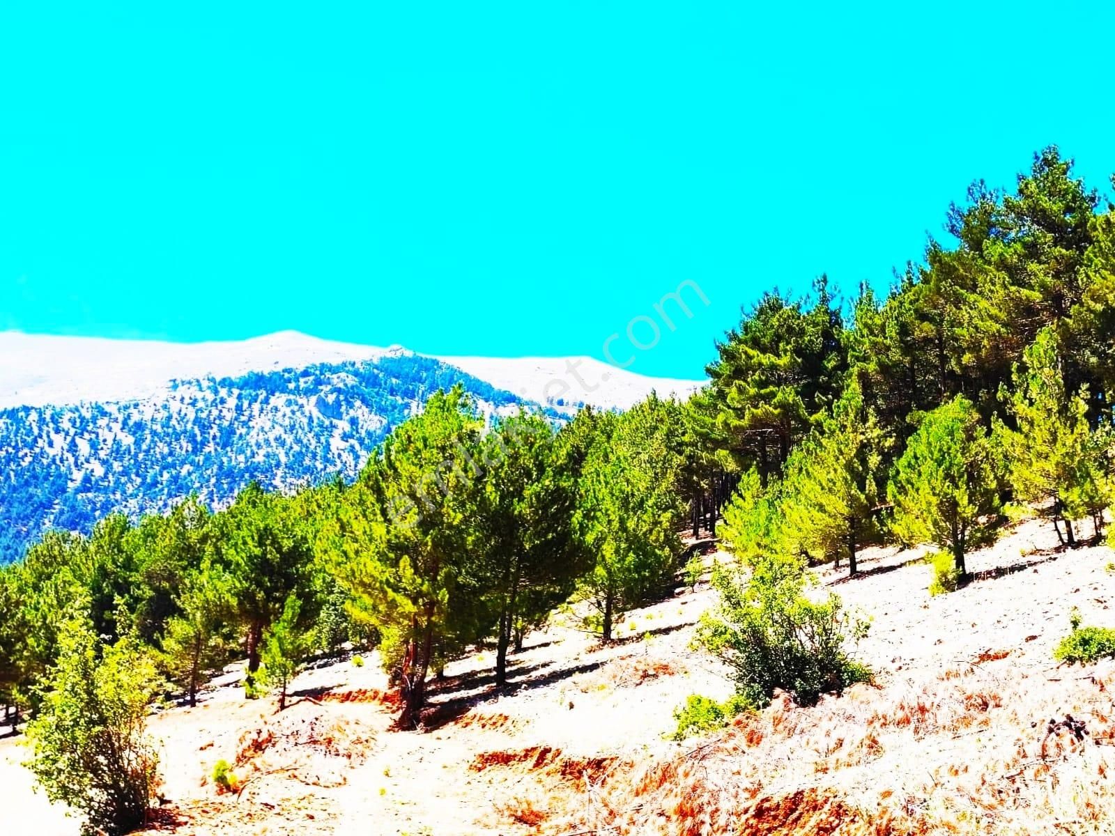 Kar Emlaktan Yenikonacık Körmenlik Mevkiinde 500 Metrekare Satılık Arsa - Görsel 13