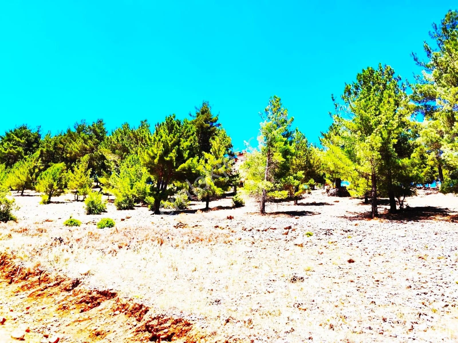 Kar Emlaktan Yenikonacık Körmenlik Mevkiinde 500 Metrekare Satılık Arsa - Görsel 3