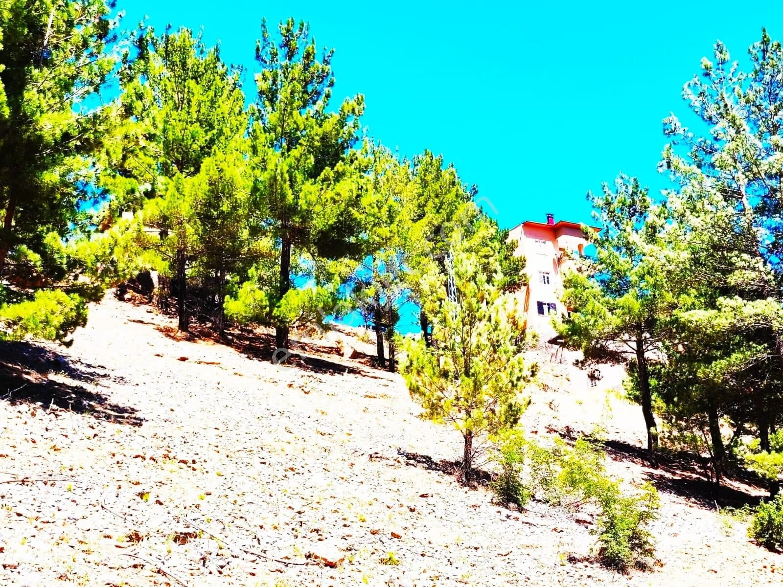 Kar Emlaktan Yenikonacık Körmenlik Mevkiinde 500 Metrekare Satılık Arsa - Görsel 17