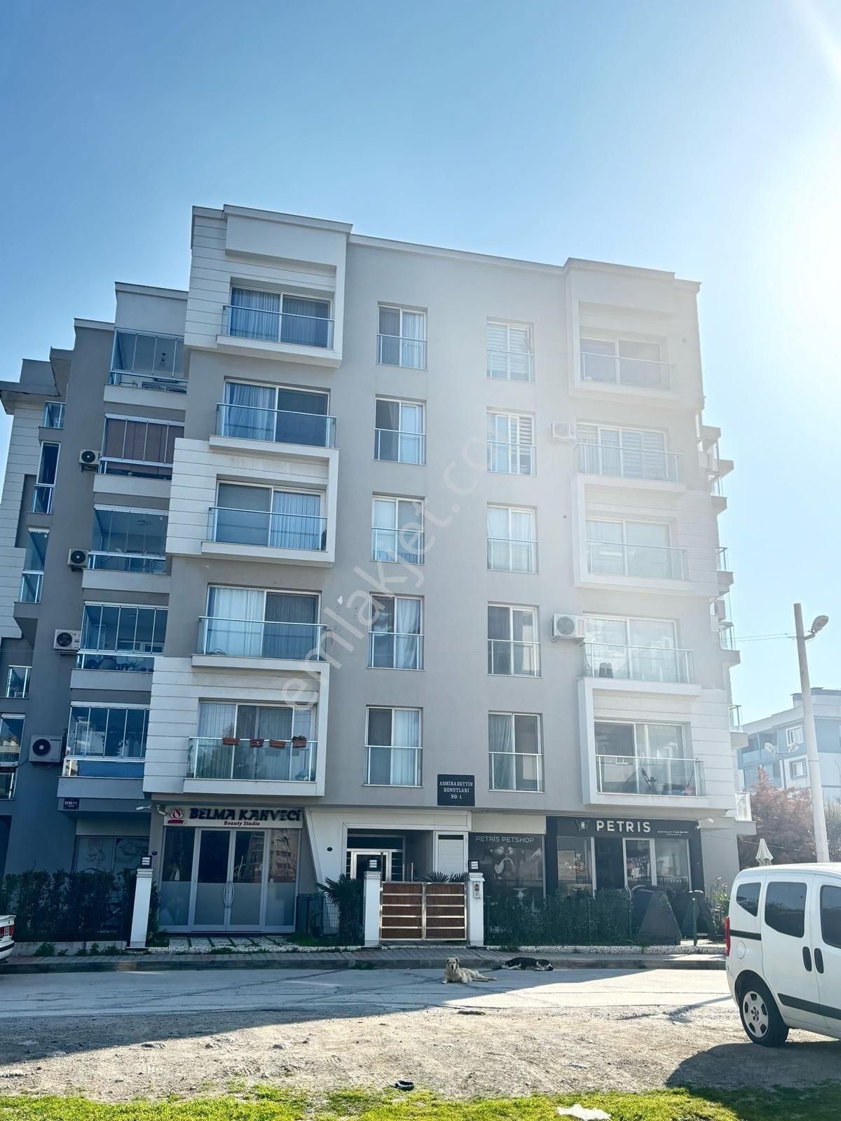 Devren Kiralik Petshop - Görsel 4