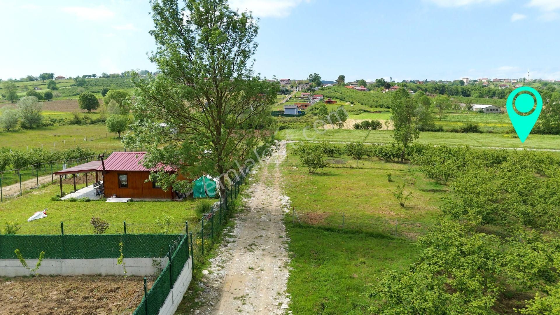 Kandıra, Karaağaç'ta 1089 M2 Satılık Plajlara Yakın - Görsel 5