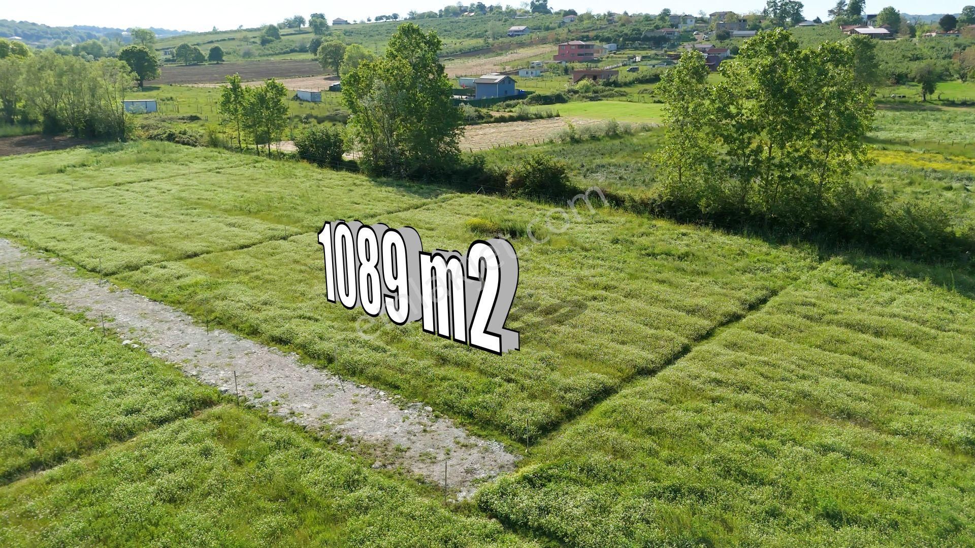 Kandıra, Karaağaç'ta 1089 M2 Satılık Plajlara Yakın - Görsel 9