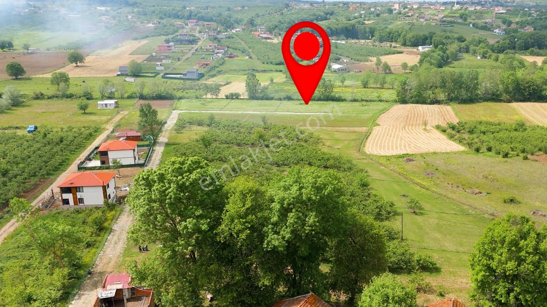 Kandıra, Karaağaç'ta 1089 M2 Satılık Plajlara Yakın - Görsel 7