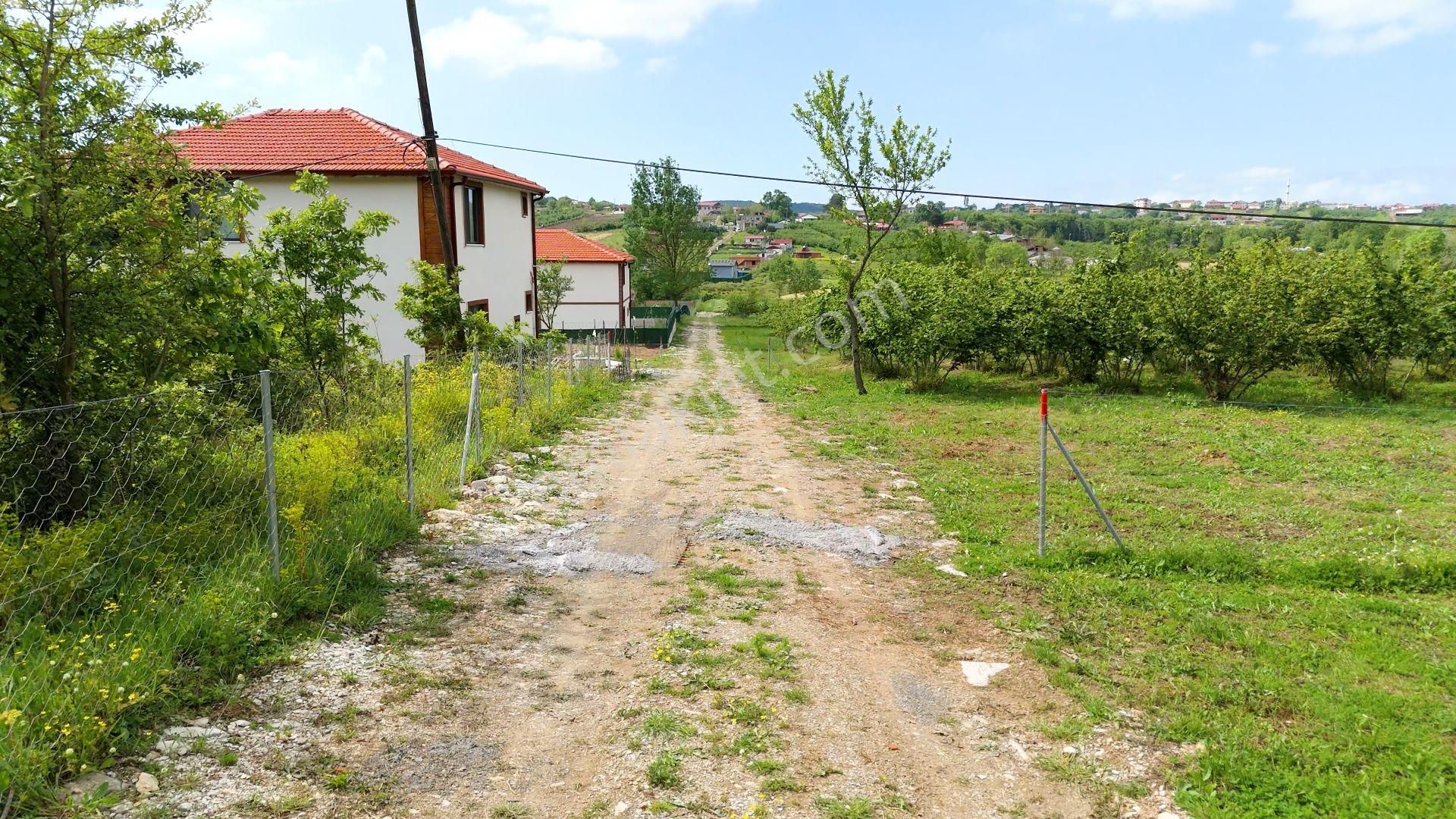 Kandıra, Karaağaç'ta 1089 M2 Satılık Plajlara Yakın - Görsel 3