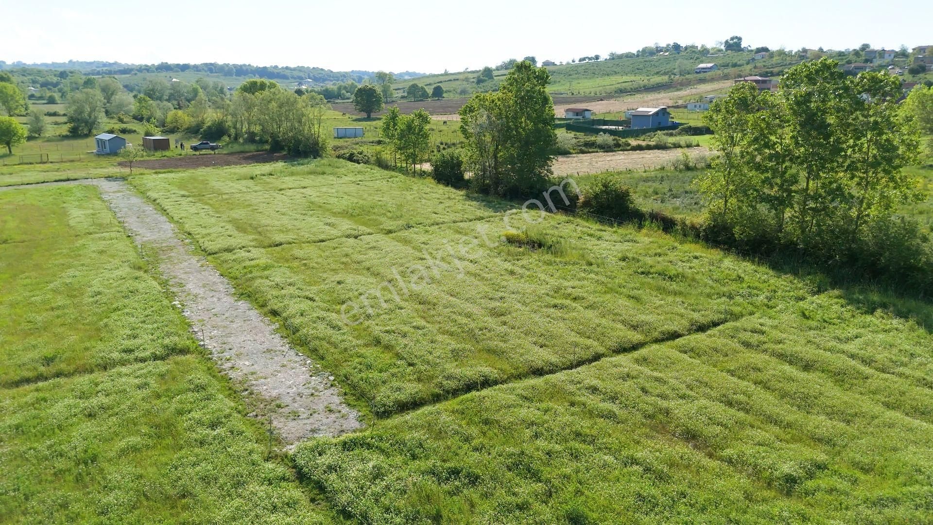 Kandıra, Karaağaç'ta 1089 M2 Satılık Plajlara Yakın
