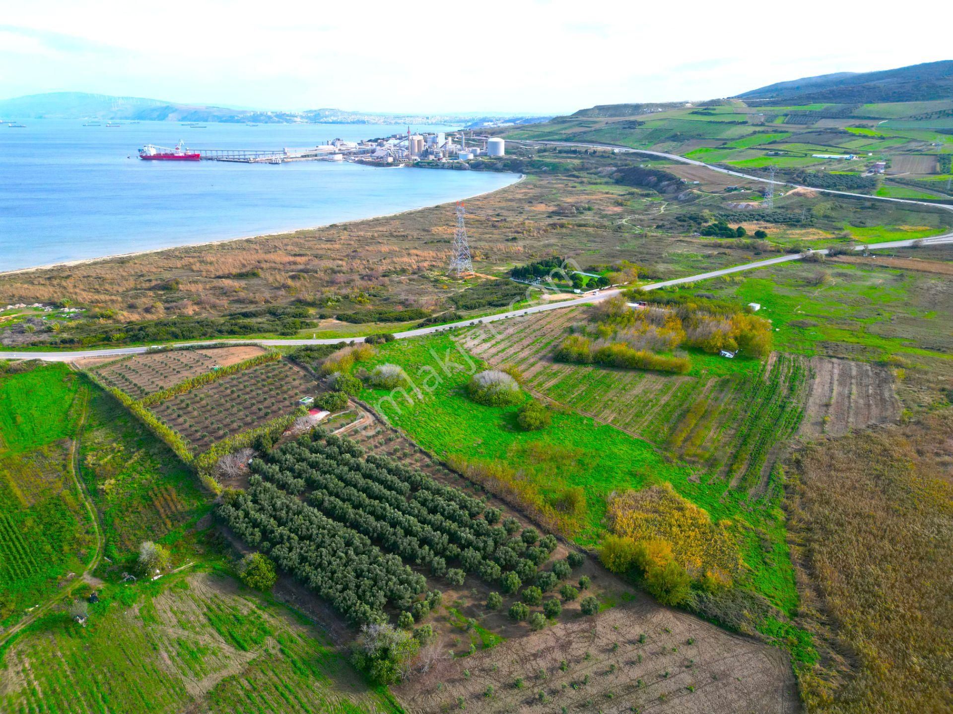 |erdek| Denize 300 Metre Asfalta Cephe Yatırım Fırsatı! - Görsel 16