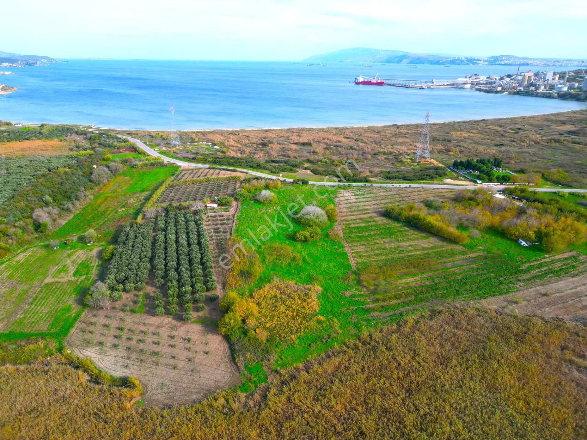 |erdek| Denize 300 Metre Asfalta Cephe Yatırım Fırsatı! - Görsel 17