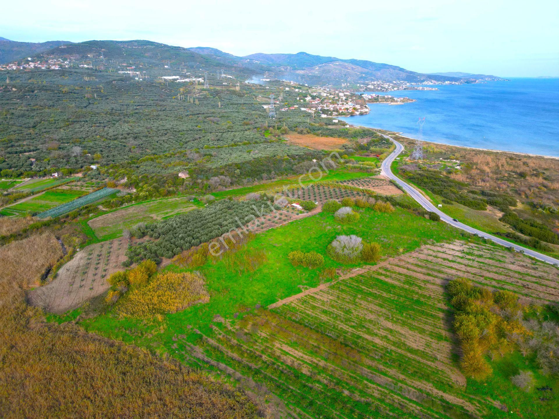 |erdek| Denize 300 Metre Asfalta Cephe Yatırım Fırsatı! - Görsel 20