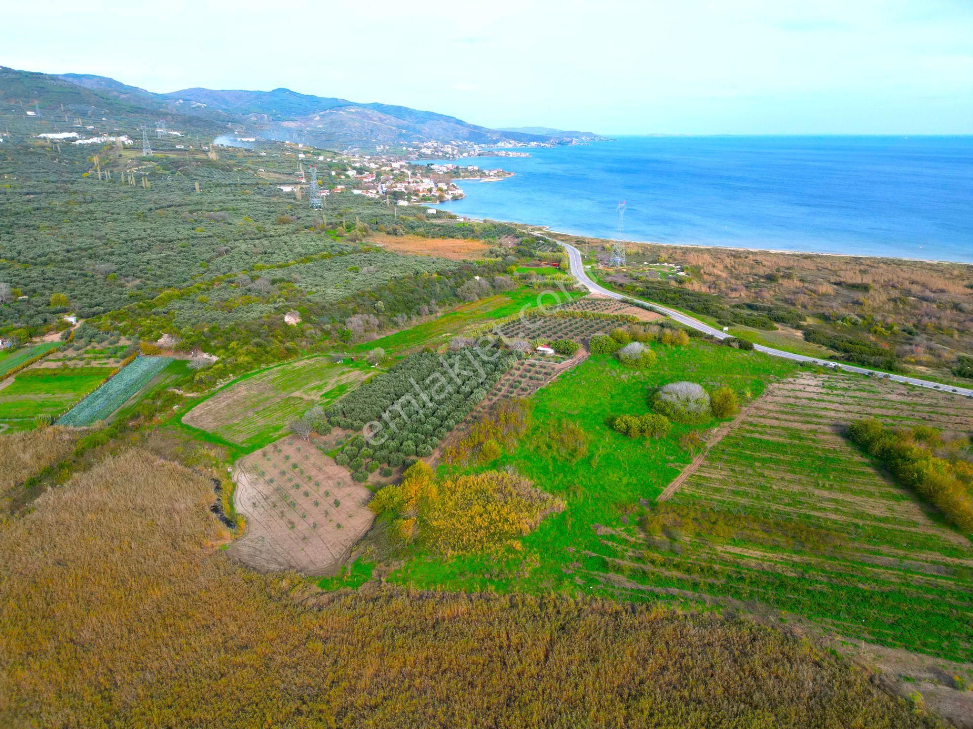 |erdek| Denize 300 Metre Asfalta Cephe Yatırım Fırsatı! - Görsel 19