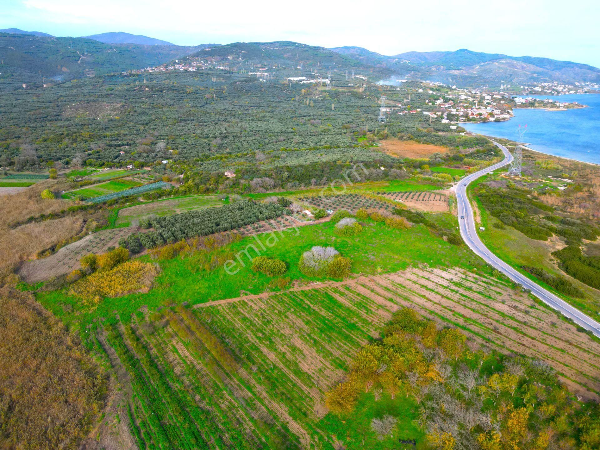 |erdek| Denize 300 Metre Asfalta Cephe Yatırım Fırsatı! - Görsel 21