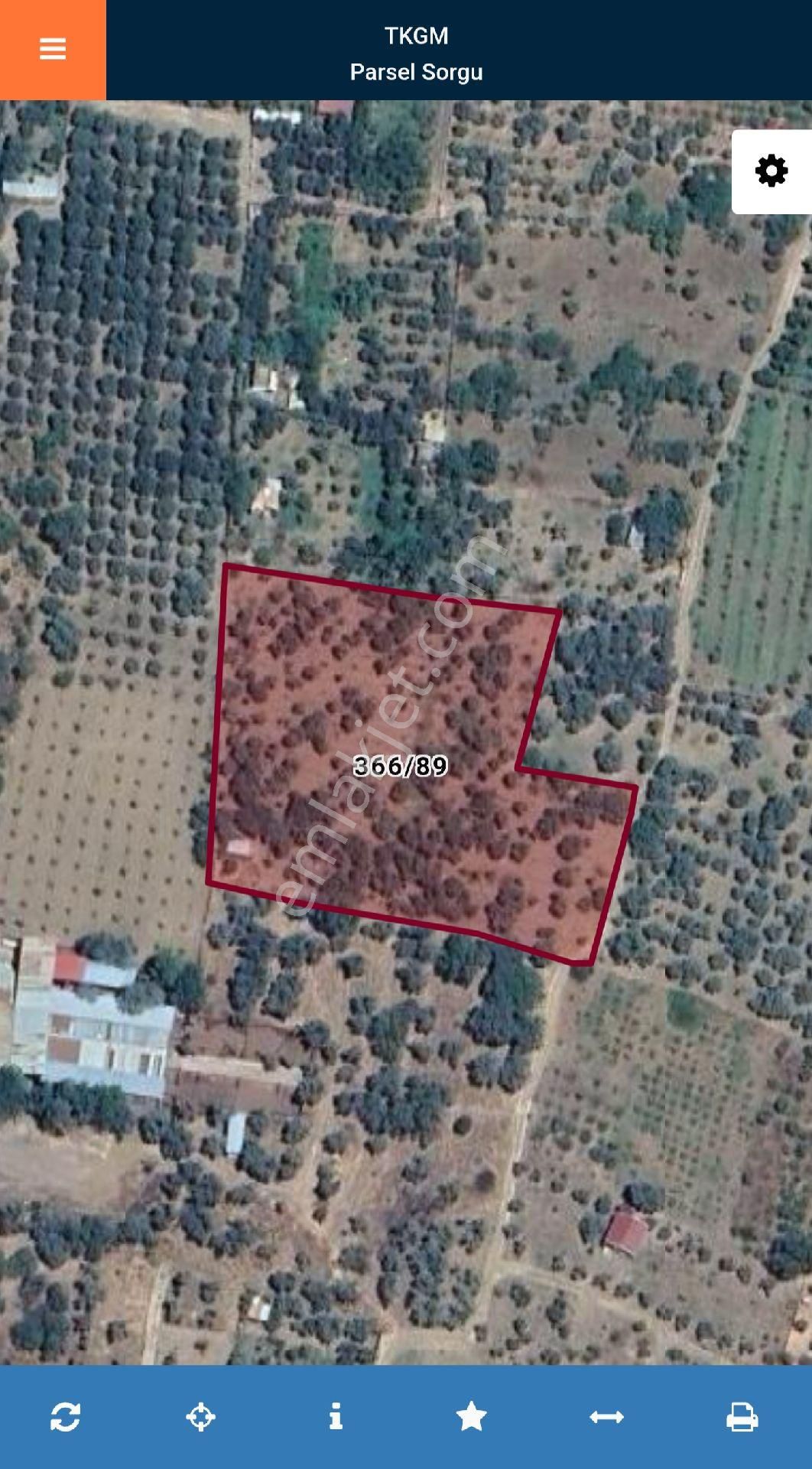 İzmir Kemalpaşa Armutlu Hürriyet'te 5.856 M2 Kiraz Zeytin Bağı. Daire Takaslı. Açıklamayı Okuyunuz. - Görsel 17