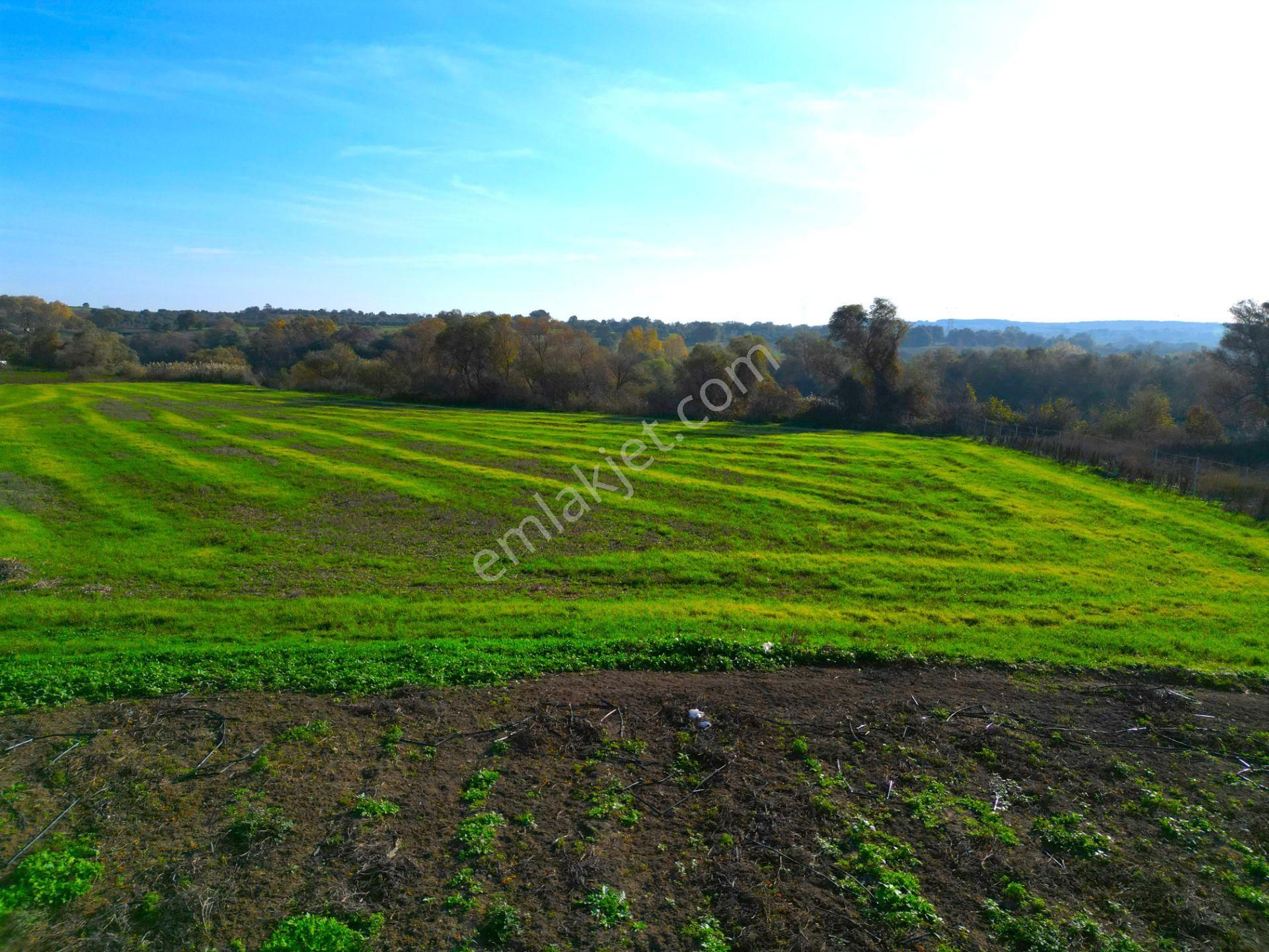 |bursa| Karacabey'e 10 Dakika Çay'a Cephe Resmi Yolu Olan Arazi! - Görsel 21